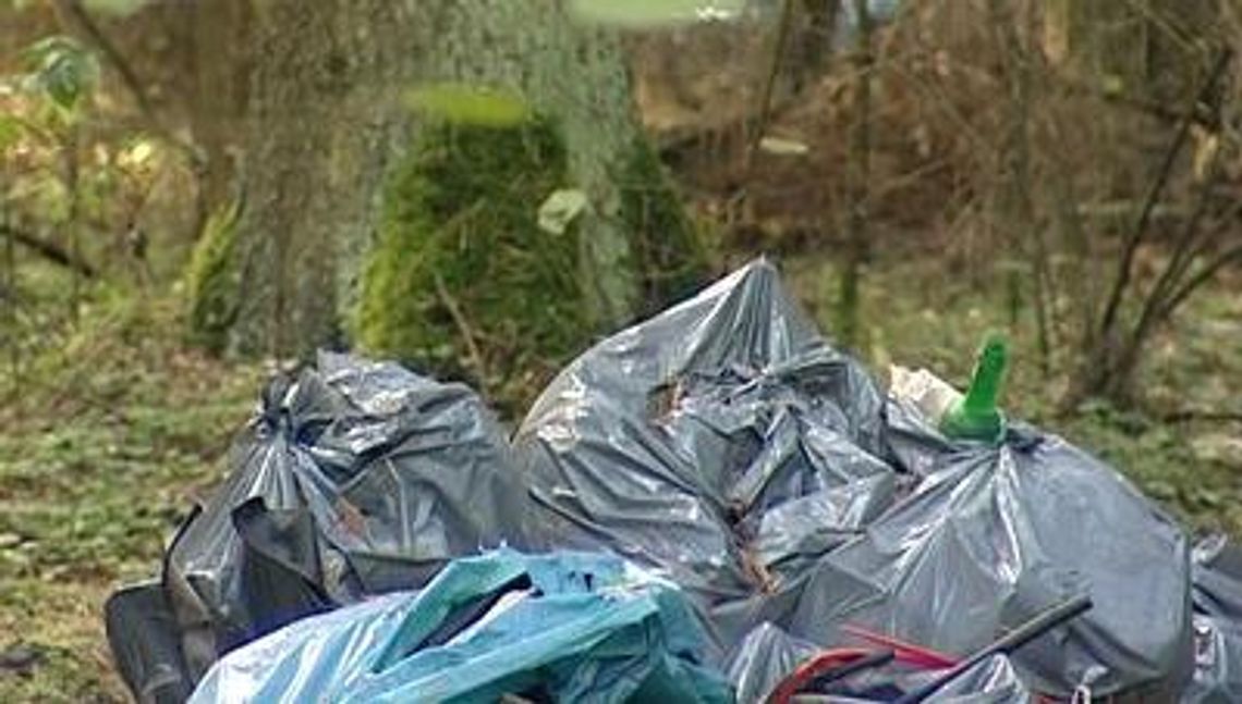 Martwe zwierzęta w workach! Kto zostawił je w lesie? Martwe zwierzęta w workach! Kto zostawił je w lesie?