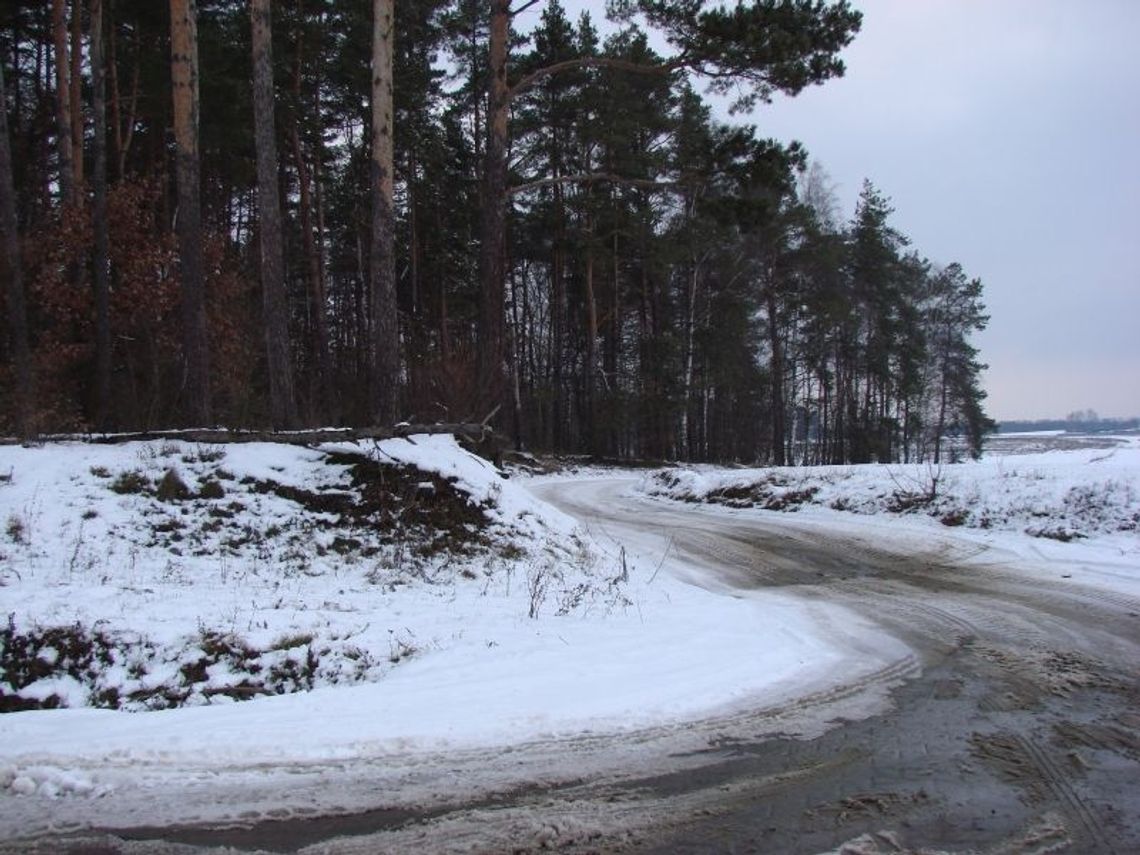 Miejsce kaźni pod lasem. Kto zakatował zwierzęta na obrzeżach Starogardu Gd.? Miejsce kaźni pod lasem. Kto zakatował zwierzęta na obrzeżach Starogardu Gd.?