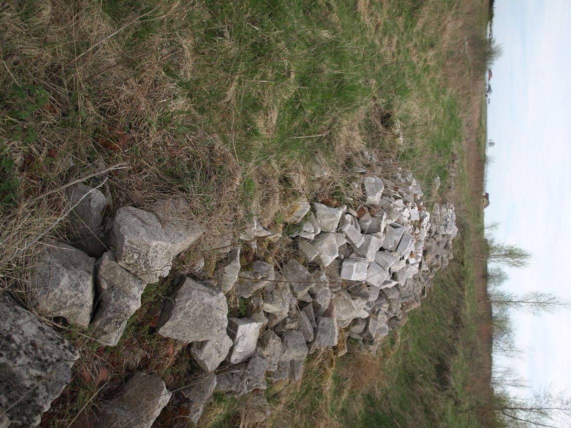 Mobilna kamera namierzy śmiecących wandali? Mobilna kamera namierzy śmiecących wandali?