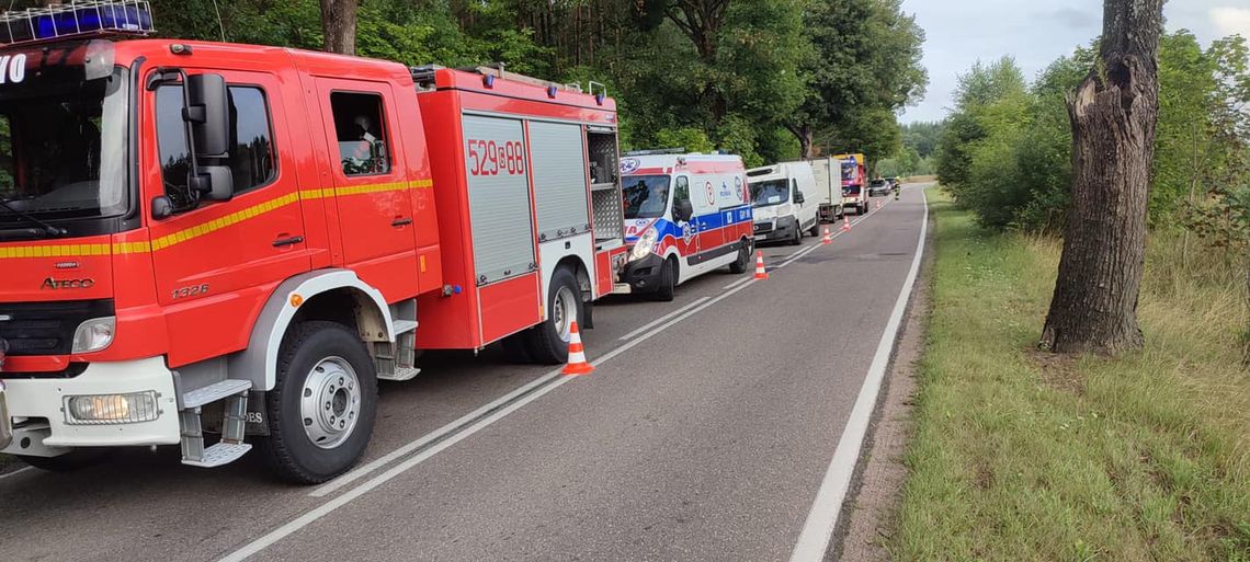 Na drodze wojewódzkiej 214 auto dostawcze uderzyło w drzewo