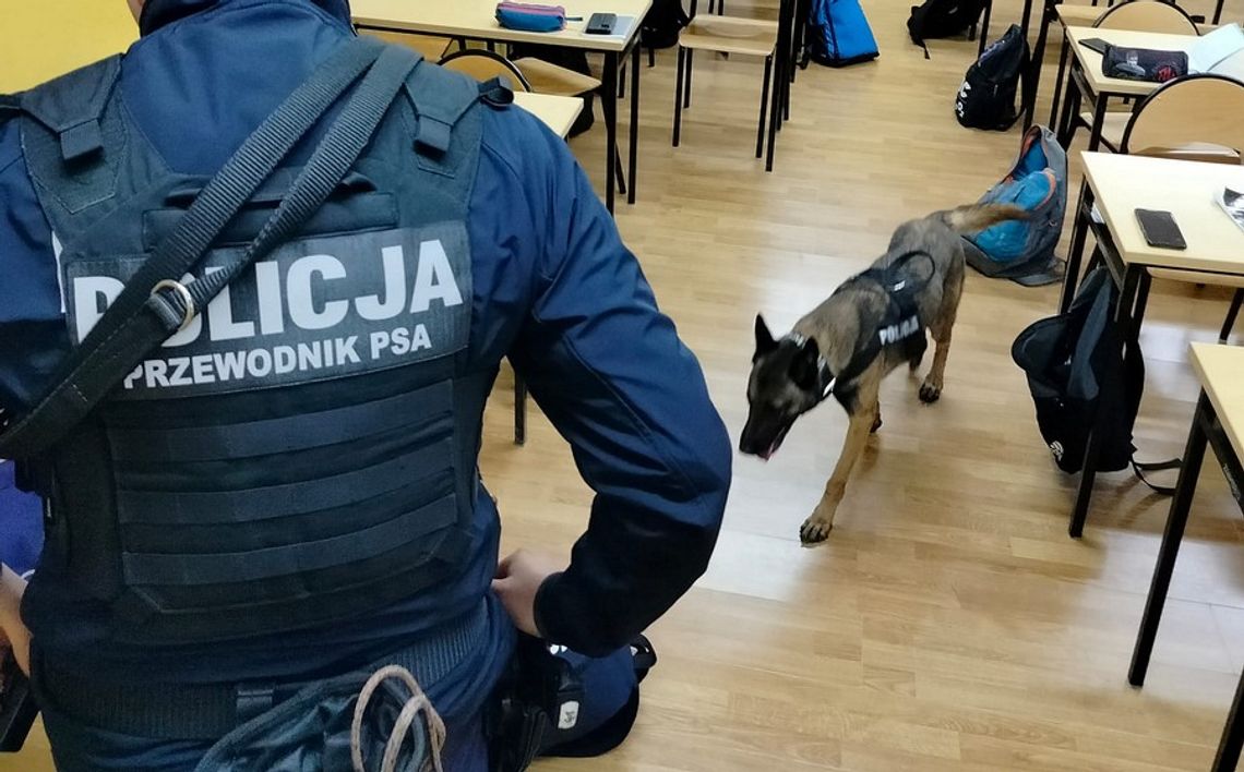 Narkotyki w plecakach nieletnich uczniów! Policjanci skontrolowali placówki na terenie powiatu starogardzkiego