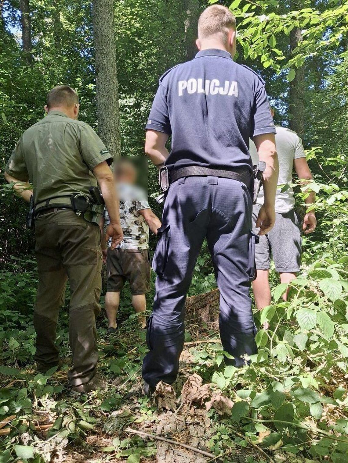 Nielegalnie wycinali drzewa w lesie. Zostali zatrzymani przez policjantów i strażników leśnych