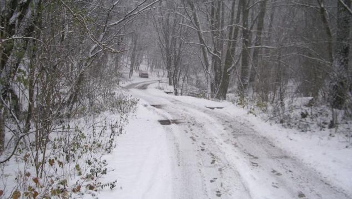 NOWE: Orkan Aleksandra - komunikat IMGW pierwszy stopień zagrożenia w pomorskim NOWE: Orkan Aleksandra - komunikat IMGW pierwszy stopień zagrożenia w pomorskim