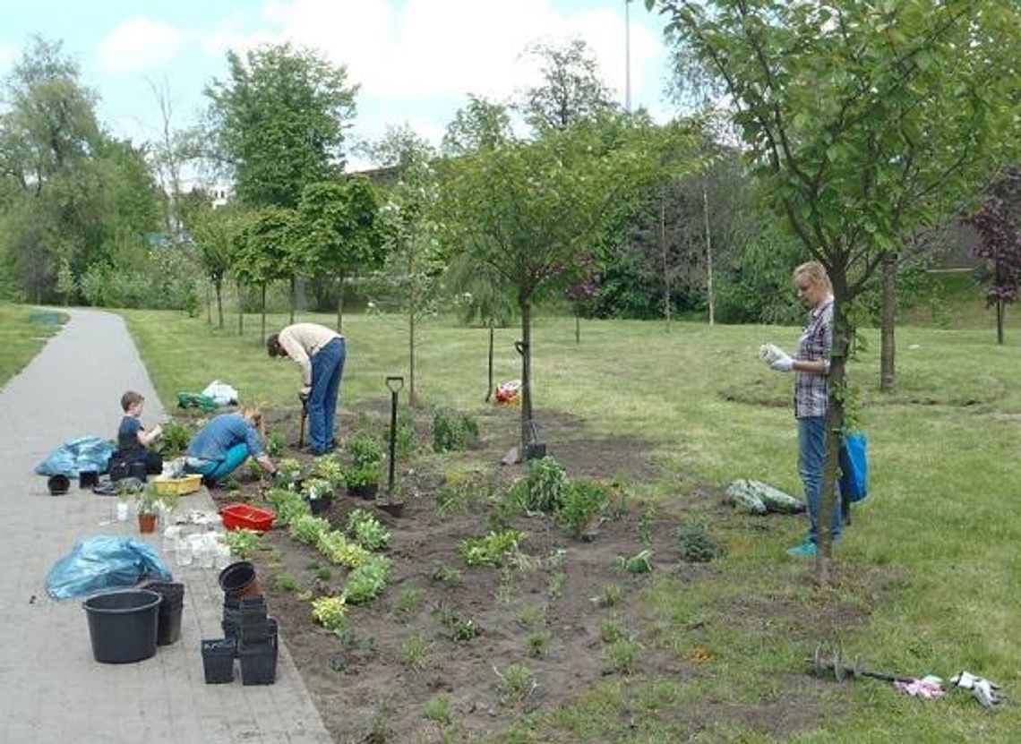 Odrobina magii w prawdziwym świecie. Powstała pierwsza „Motylówka” – hotel i jadłodajnia dla motyli Odrobina magii w prawdziwym świecie. Powstała pierwsza „Motylówka” – hotel i jadłodajnia dla motyli