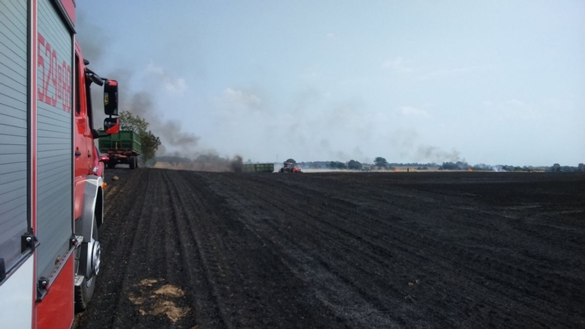 Ogień strawił hektary zboża. Straty są ogromne Ogień strawił hektary zboża. Straty są ogromne