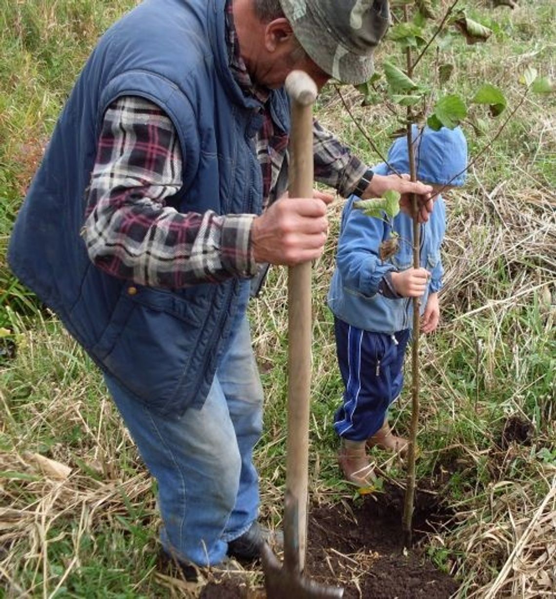 Pączewski Dzień Drzewa 2008