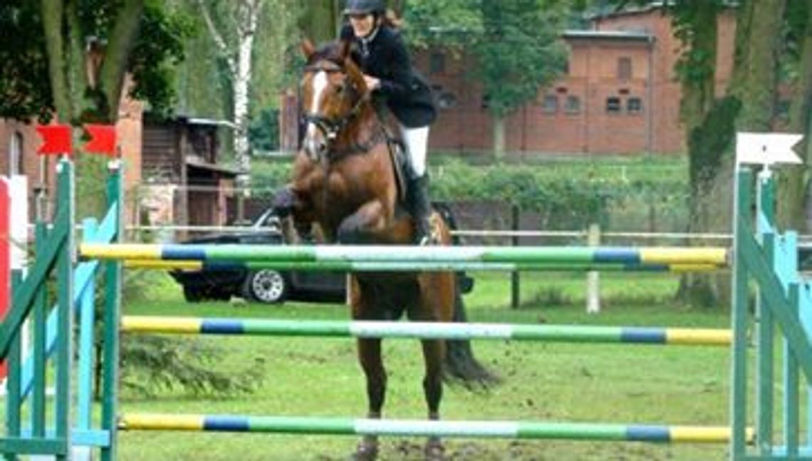 Pawilony są puste, konie wyprowadzone. Co dalej ze Stadem Ogierów? Pawilony są puste, konie wyprowadzone. Co dalej ze Stadem Ogierów?