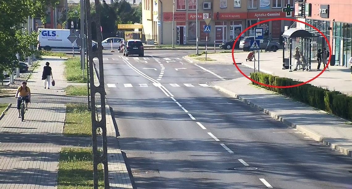 Pies pogryzł mężczyznę na przystanku w Tczewie. Policja szuka świadków tego zdarzenia 