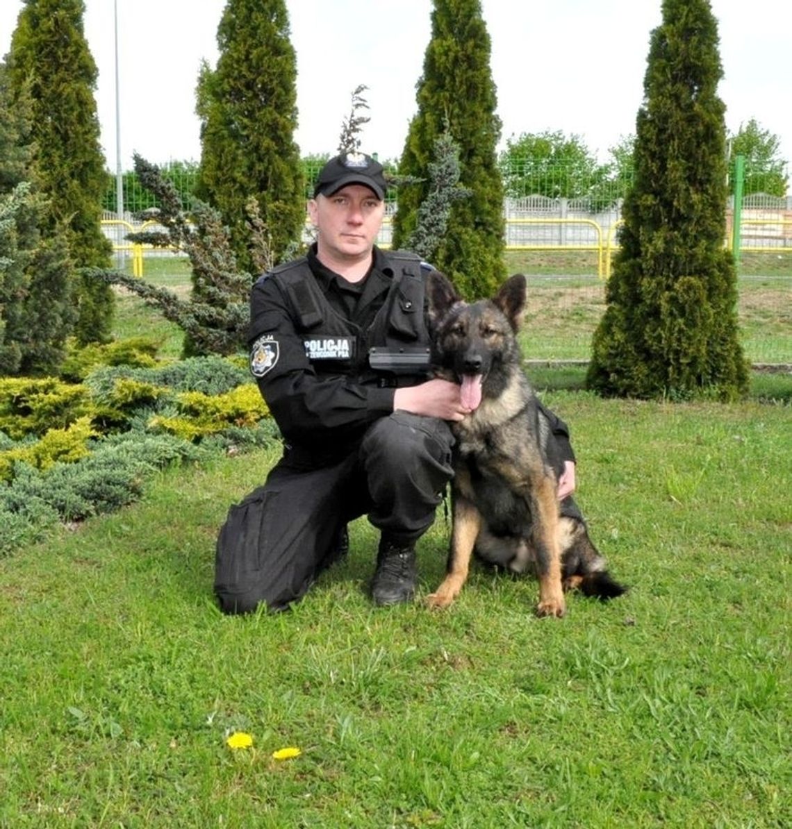 Pies to najlepszy przyjaciel człowieka i... doskonały funkcjonariusz policji na 4 łapach! 