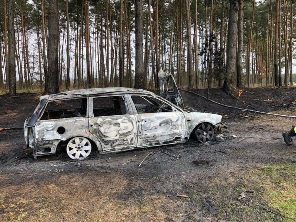 PILNE: Pożar samochodu doprowadził do pożaru w lesie. Działania trwają [FOTO]