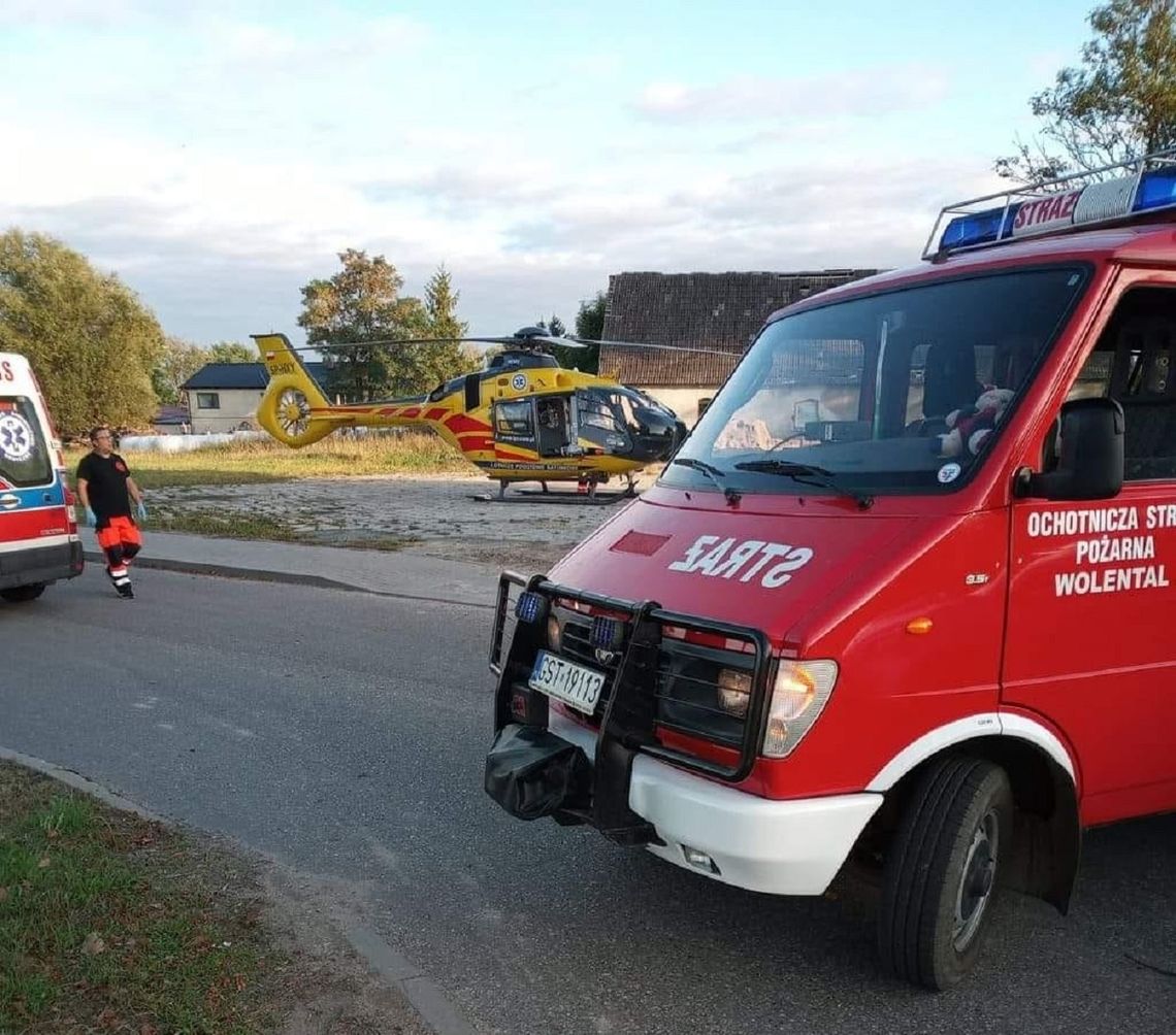 PILNE: Wójt gminy Skórcz trafił śmigłowcem do szpitala. Został zaatakowany przez byka 
