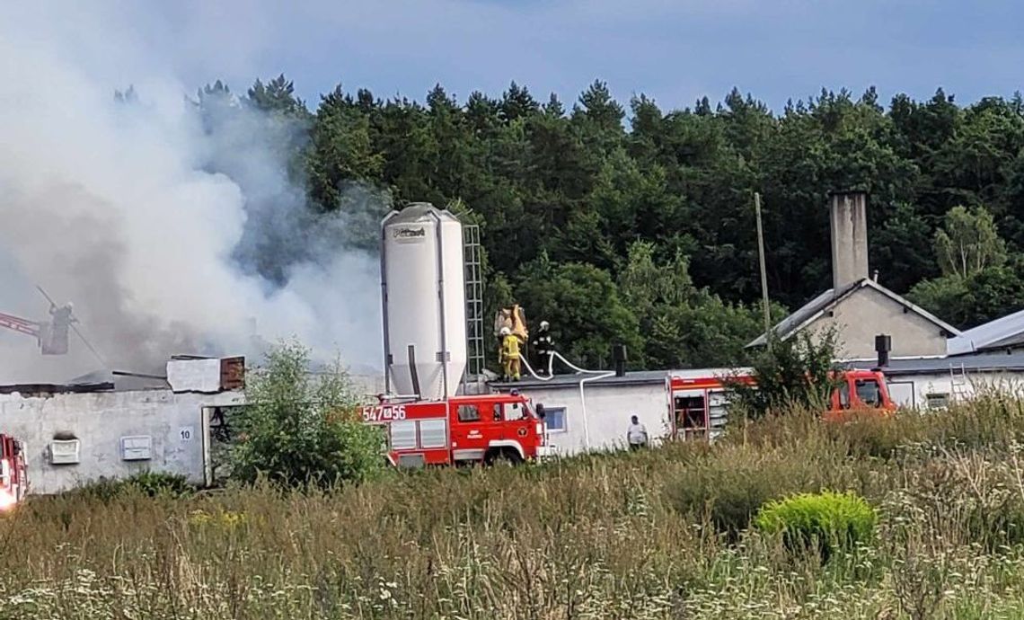 Płonie budynek gospodarski w Kulicach. Z ogniem walczy 11 zastępów straży pożarnej