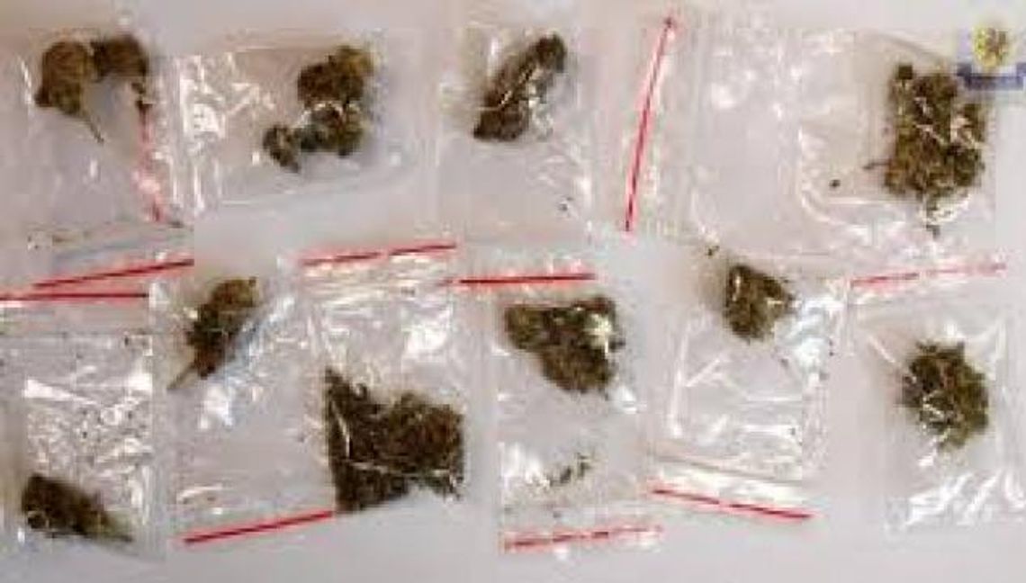 Podejrzani o handel środkami odurzającymi wyszli na wolność