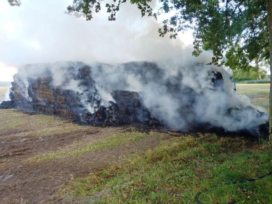 Podpalacze słomy zatrzymani Podpalacze słomy zatrzymani