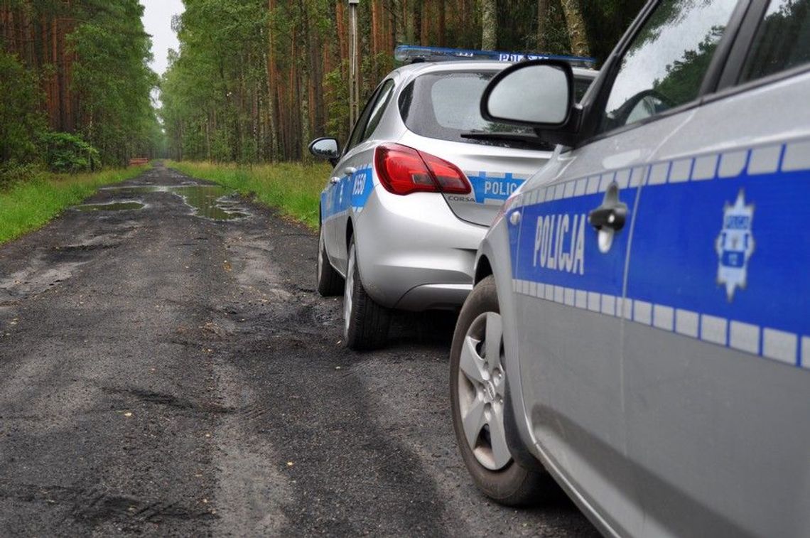 Policjanci i leśnicy apeluj: szukając grzybów, nie zgub drogi do domu