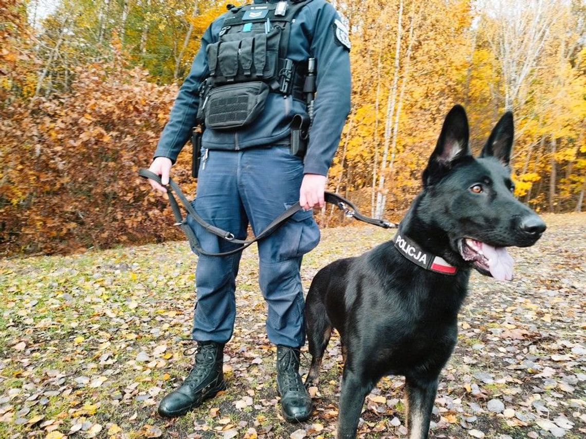 Policjanci w porę zapobiegli kolejnej tragedii