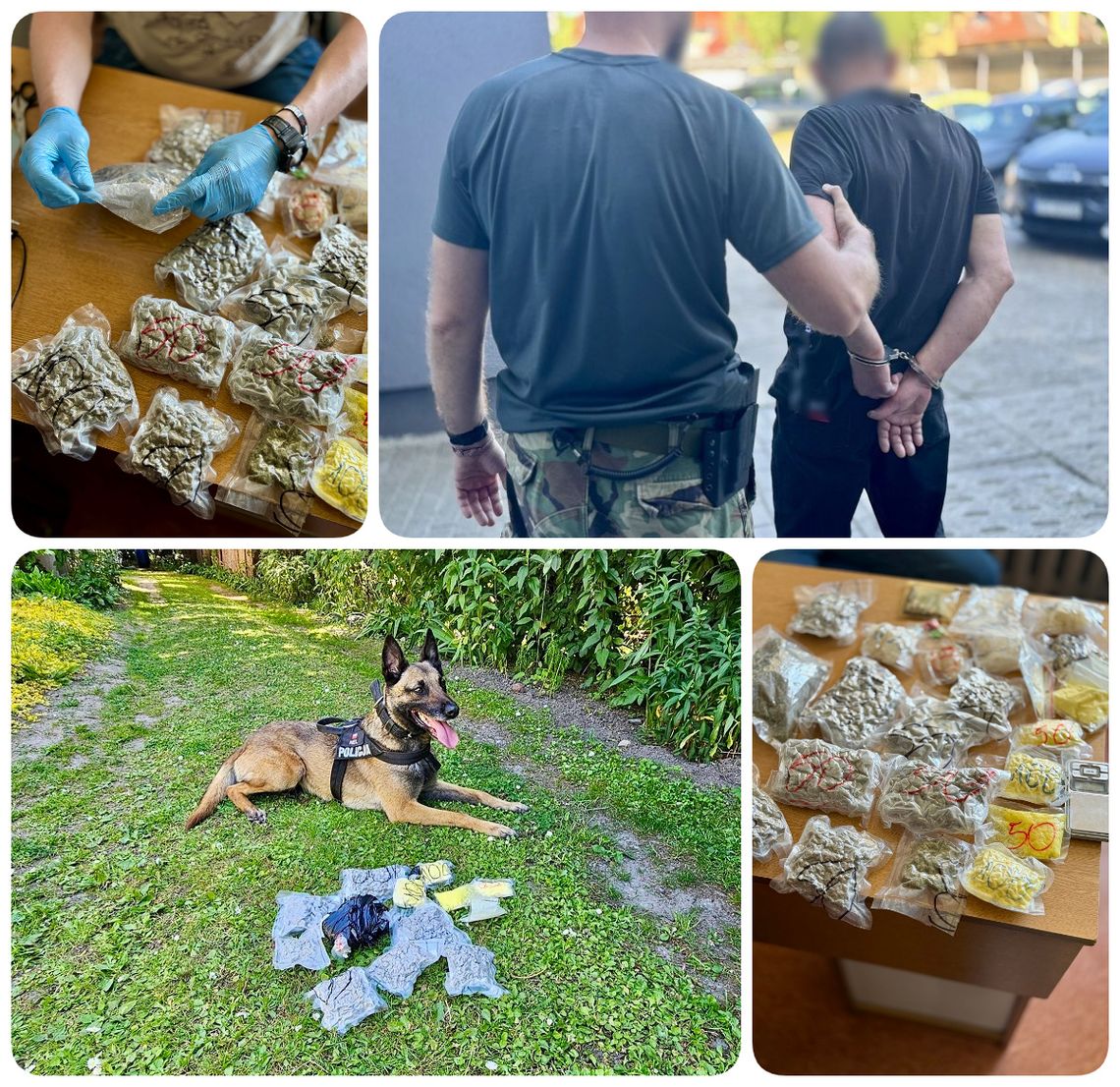 Policjanci z Tczewa przechwycili blisko 7 000 porcji narkotyków
