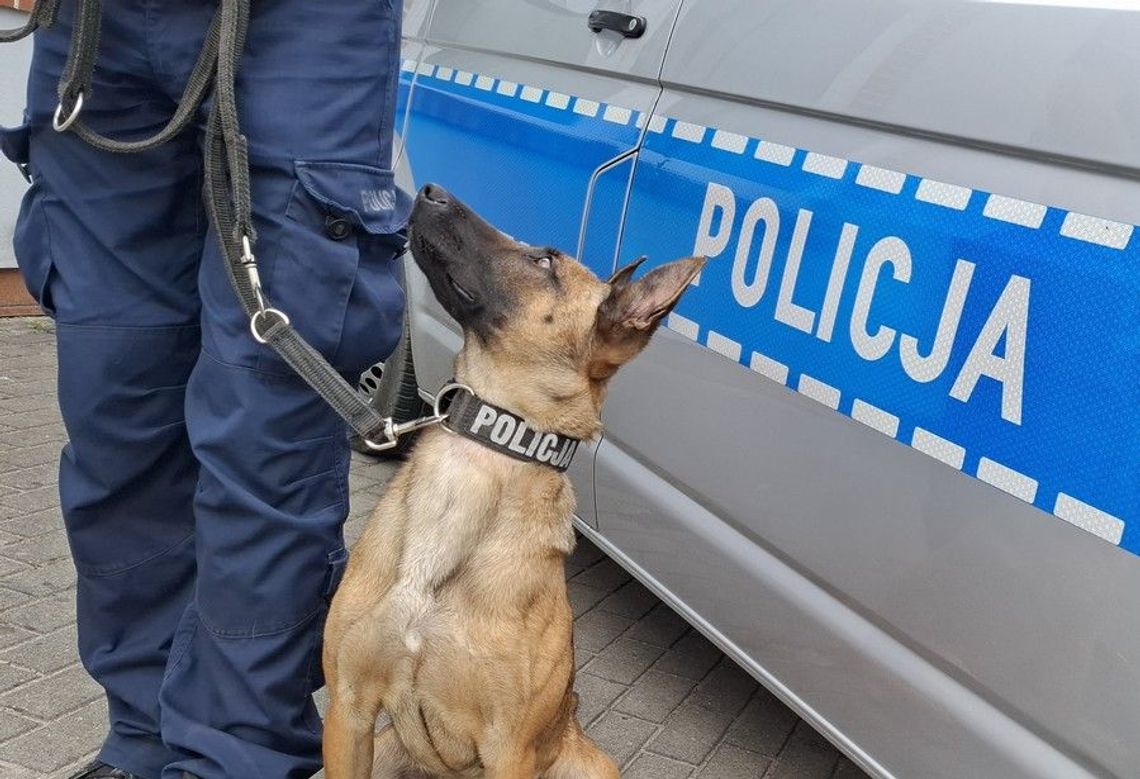 Policjanci zatrzymali kierowcę pod wpływem narkotyków z dożywotnim zakazem Policjanci zatrzymali kierowcę pod wpływem narkotyków z dożywotnim zakazem