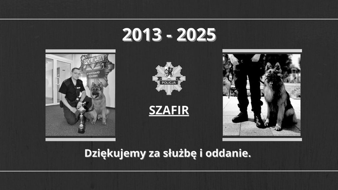Policjanci żegnają Szafira - niezastąpionego czworonożnego funkcjonariusza KPP Starogard