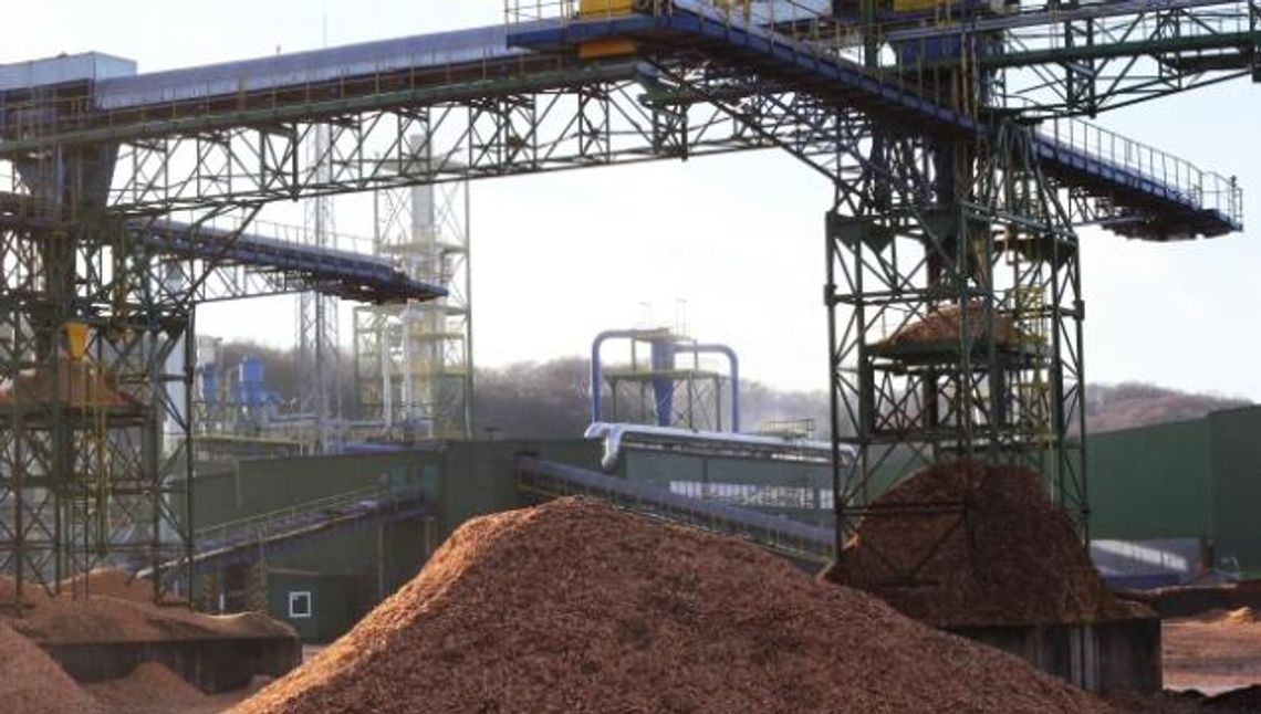 Politechnika Gdańska chce współpracować z Czarną Wodą w ramach Pomorskiego Klastra Drzewnego Politechnika Gdańska chce współpracować z Czarną Wodą w ramach Pomorskiego Klastra Drzewnego