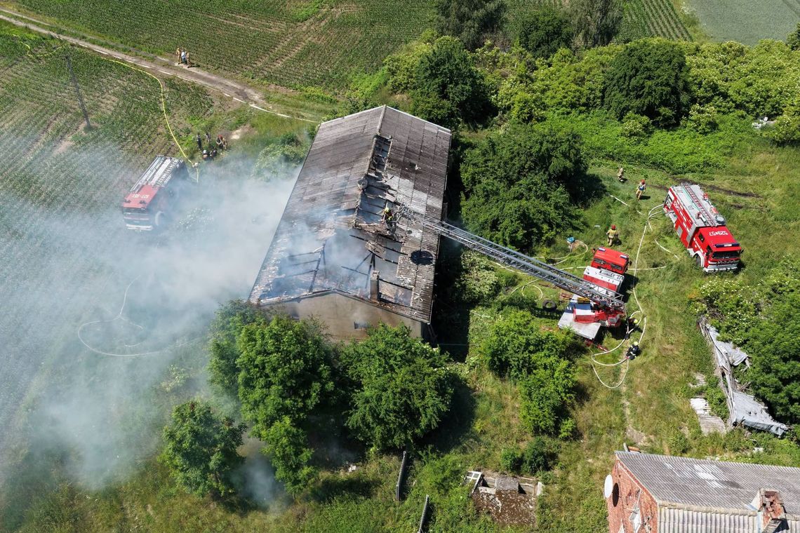 Pożar chlewni w Skórczu. Na miejscu pracuje dziewięć zastępów straży pożarnej Pożar chlewni w Skórczu. Na miejscu pracuje dziewięć zastępów straży pożarnej