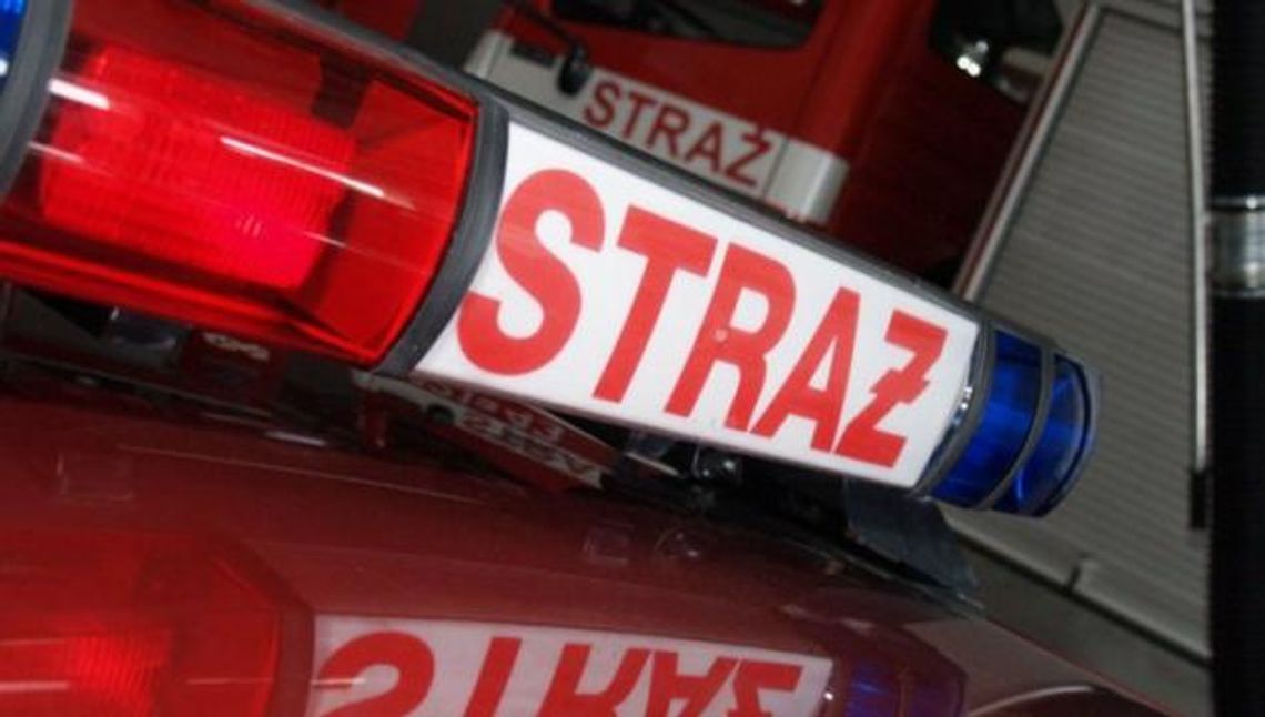 Pożar domku letniskowego. Akcja strażaków trwała prawie cztery godziny 