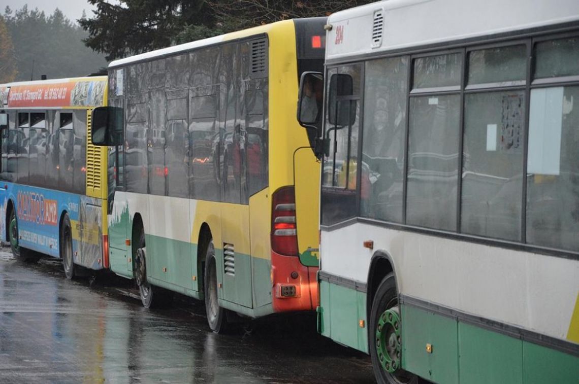 [ROZKŁAD] Dodatkowe autobusy na Wszystkich Świętych