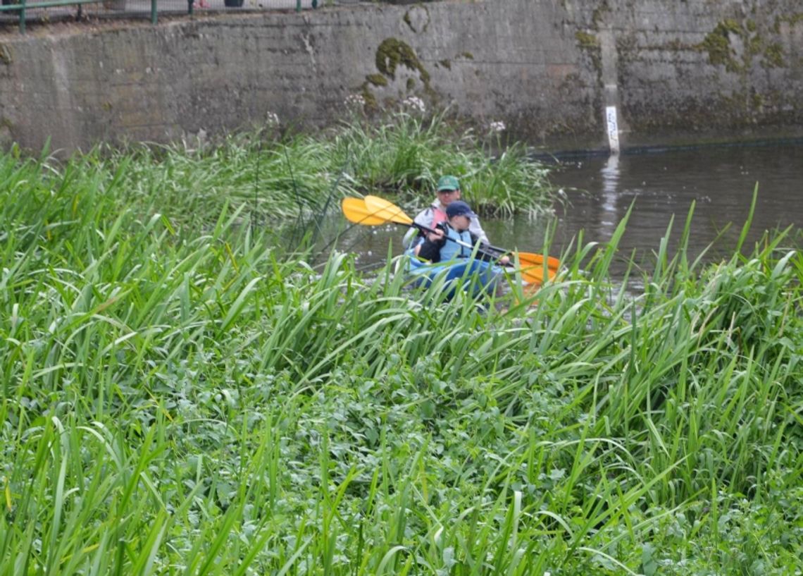 Rzeka zarasta w zastraszającym tempie Rzeka zarasta w zastraszającym tempie