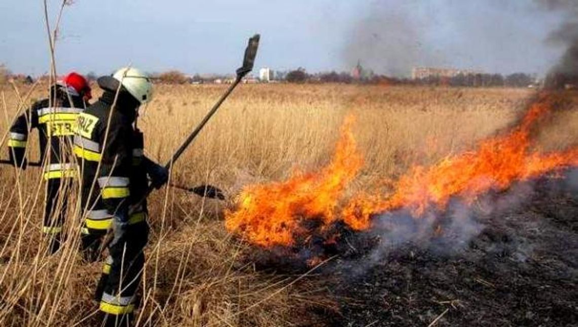 Sąsiedzi rozpalają śmierdzące ogniska. Zanim podpalisz, zastanów się czy nie narazisz życia innych Sąsiedzi rozpalają śmierdzące ogniska. Zanim podpalisz, zastanów się czy nie narazisz życia innych