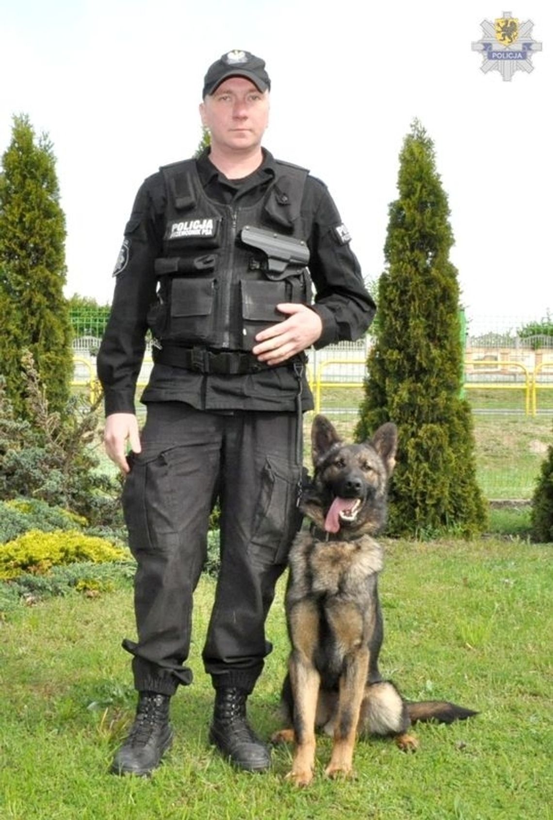 Schowała narkotyki w drzwiach - znalazł je owczarek o imieniu Ilab Schowała narkotyki w drzwiach - znalazł je owczarek o imieniu Ilab