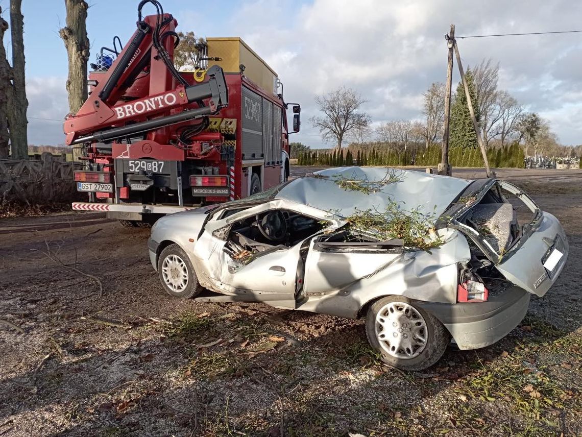 Setki gospodarstw domowych bez prądu i powalone drzewa. Od kilku godzin strażacy walczą ze skutkami silnego wiatru