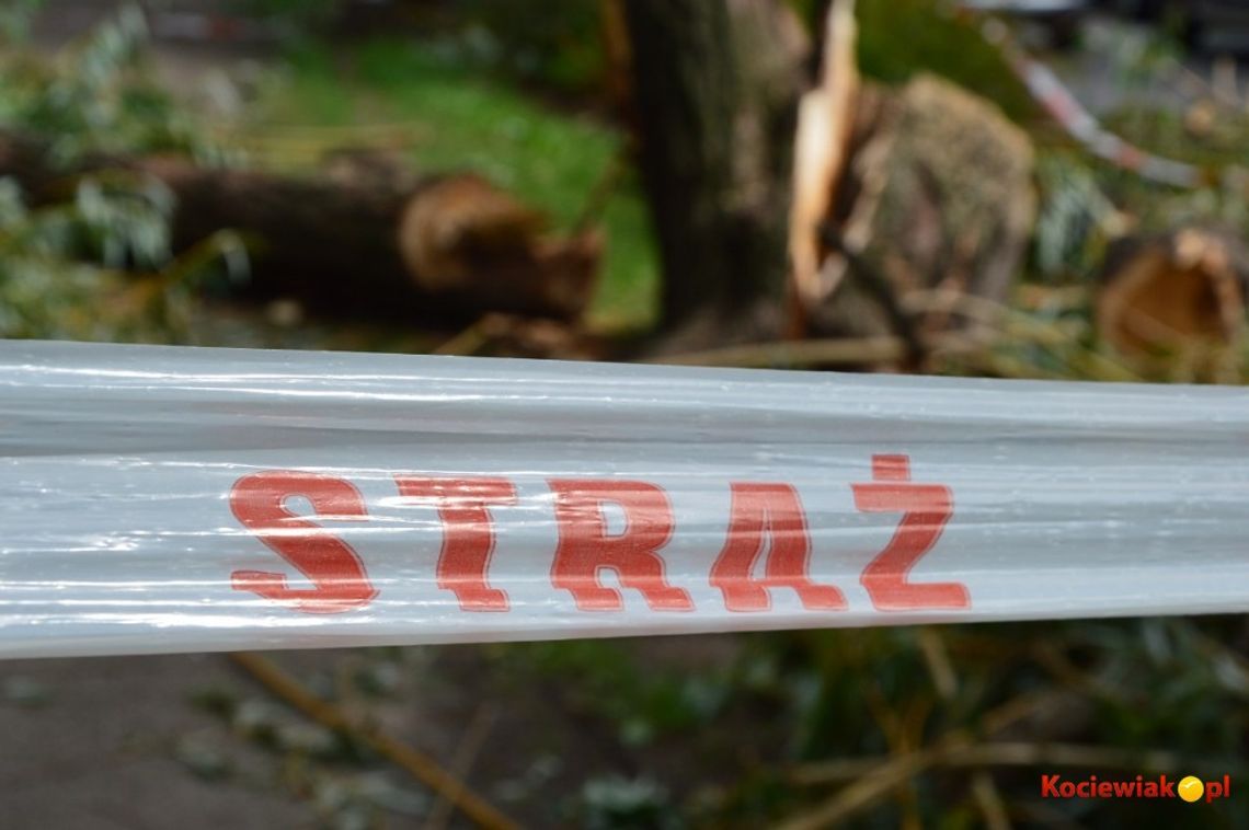 Silny wiatr nadciąga nad region. IMGW wydał ostrzeżenie