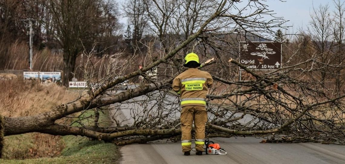 Silny wiatr nie ustaje. Do godziny 10 straż odnotowała 35 zdarzeń 