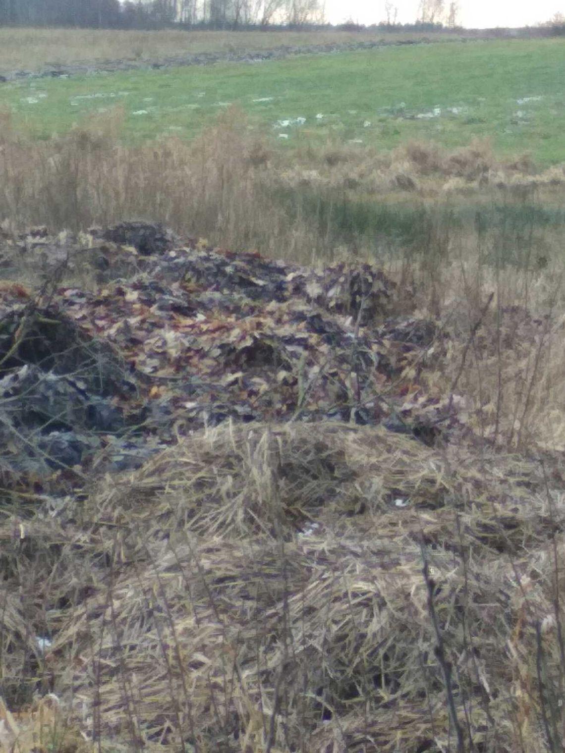 Śmieci z cmentarza trafiły na pole Kto wydał na to zgodę? Śmieci z cmentarza trafiły na pole Kto wydał na to zgodę?