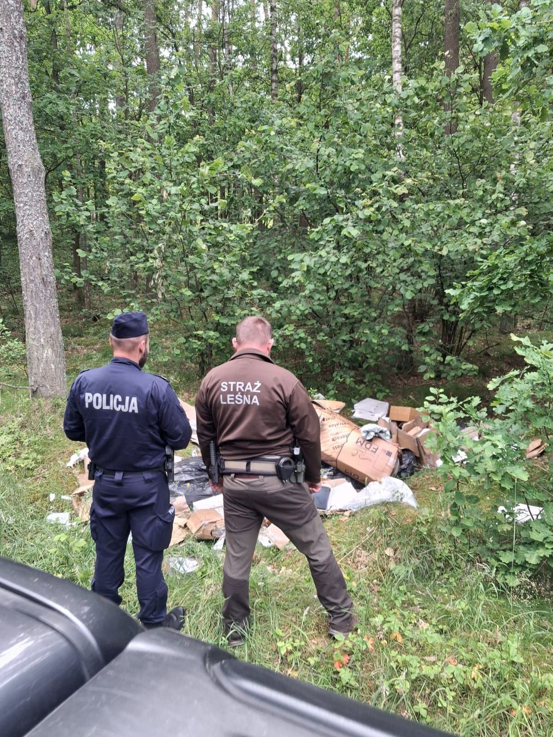 Śmieciarze ukarani! Wywozili do lasu różnego rodzaju odpady Śmieciarze ukarani! Wywozili do lasu różnego rodzaju odpady