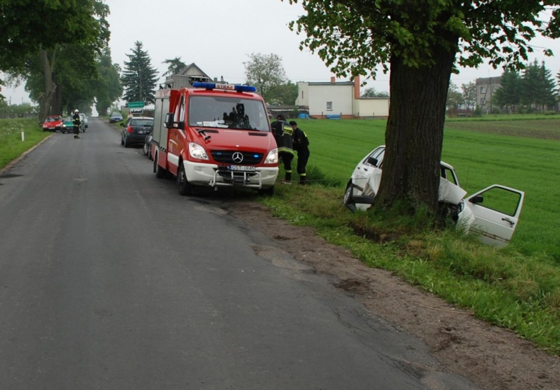 Śmiertelny wypadek. Zjechała na pobocze i uderzyła w drzewo.