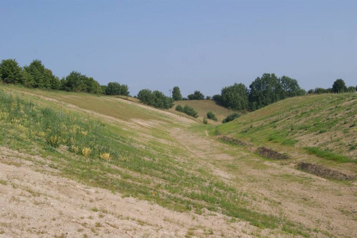 Śmietnisko zrekultywowane. Przywrócili teren naturze