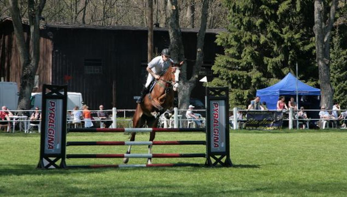 Stado do likwidacji?! Co dalej ze starogardzkim Stadem Ogierów? Stado do likwidacji?! Co dalej ze starogardzkim Stadem Ogierów?