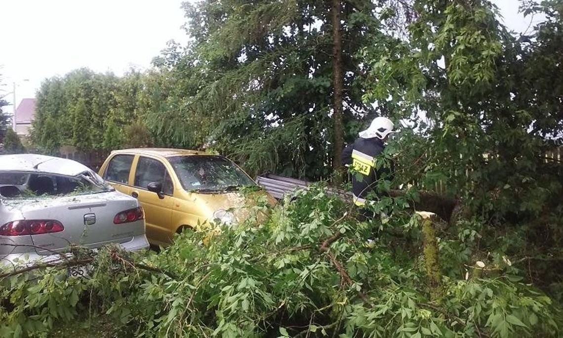 Strażacy interweniowali aż 58 razy. Nawałnica przeszła nad Zblewem i Skarszewami Strażacy interweniowali aż 58 razy. Nawałnica przeszła nad Zblewem i Skarszewami