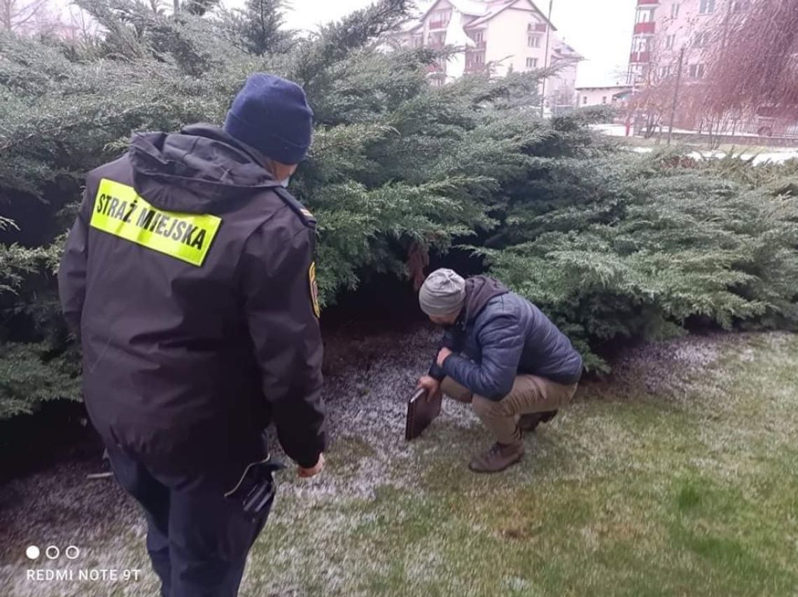  Strażnicy miejscy odnaleźli zwłoki mężczyzny pod wiaduktem. Sprawę bada policja