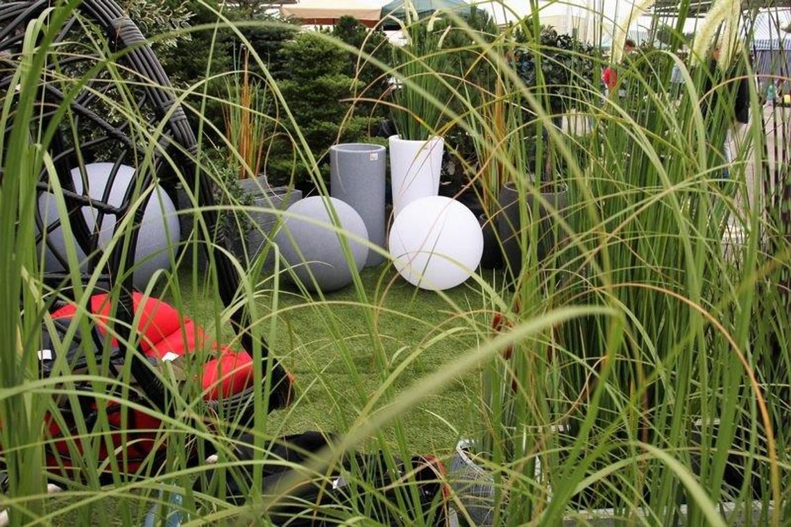 Stu Wystawców w ósmej edycji kiermaszu ogrodniczego „Jesień w ogrodzie” Stu Wystawców w ósmej edycji kiermaszu ogrodniczego „Jesień w ogrodzie”