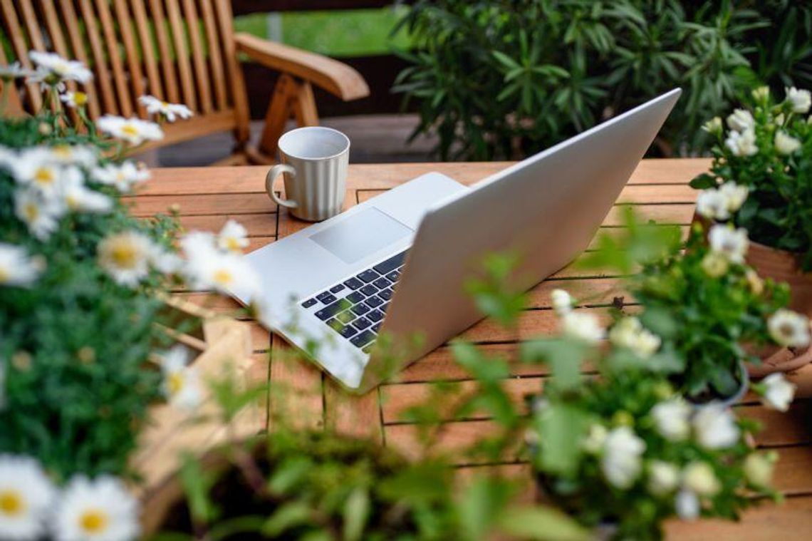 Światłowód Geckonet na Kociewiu: Pelplin, Starogard Gdański i Zblewo z gigabitowym Internetem