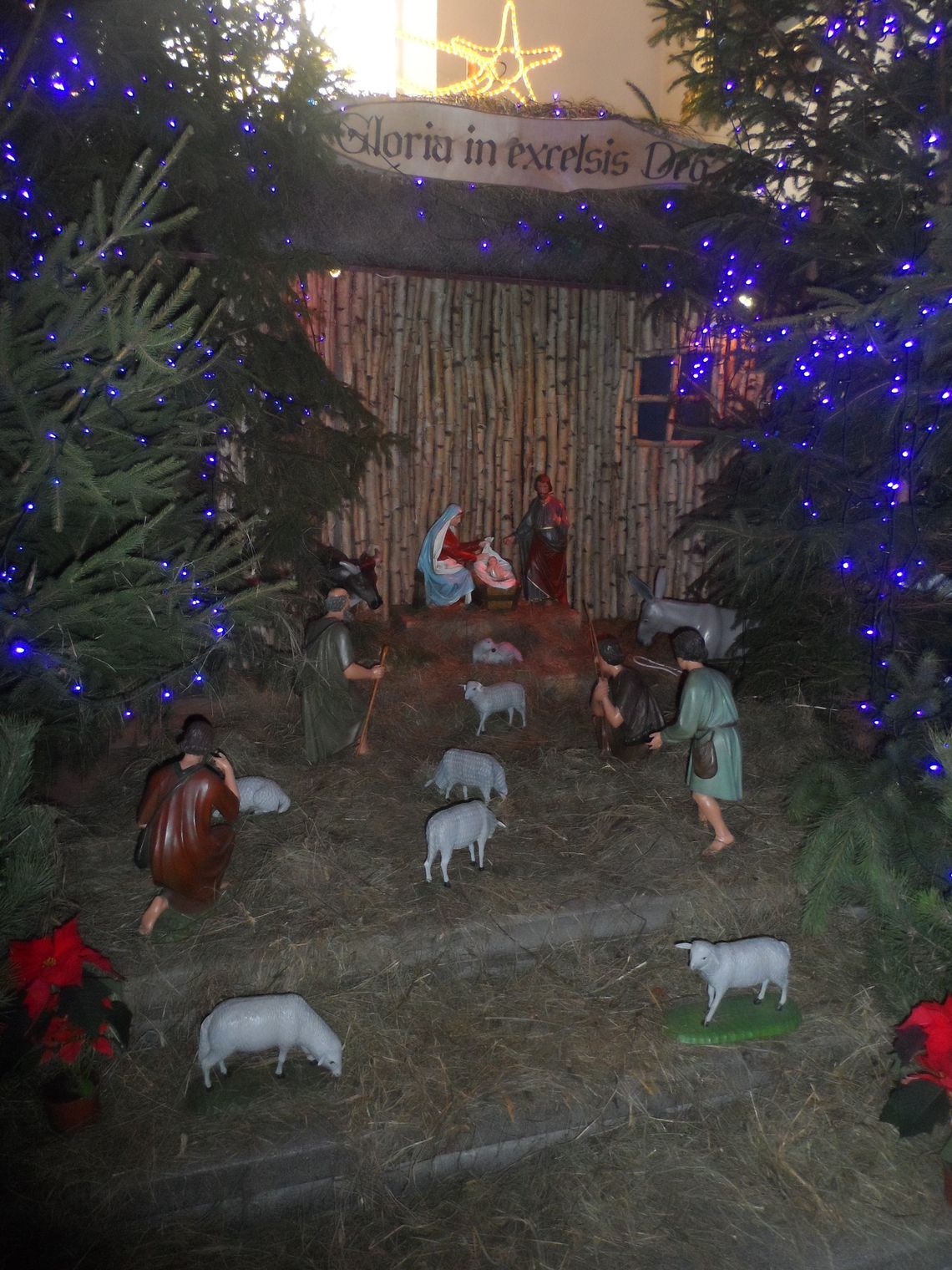 Szopka bożonarodzeniowa w kościele św. Mateusza Szopka bożonarodzeniowa w kościele św. Mateusza
