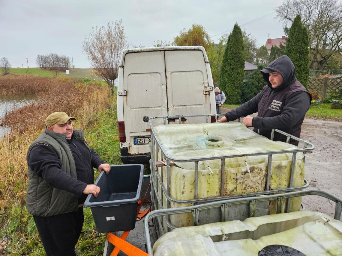 Wędkarze z Bobowa zarybiają jeziora