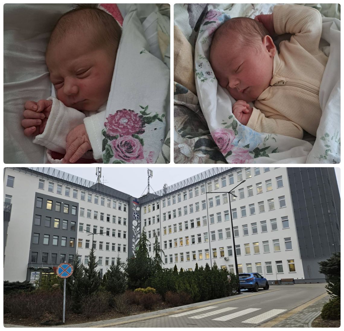 Wspaniałe, noworoczne narodziny w KCZ