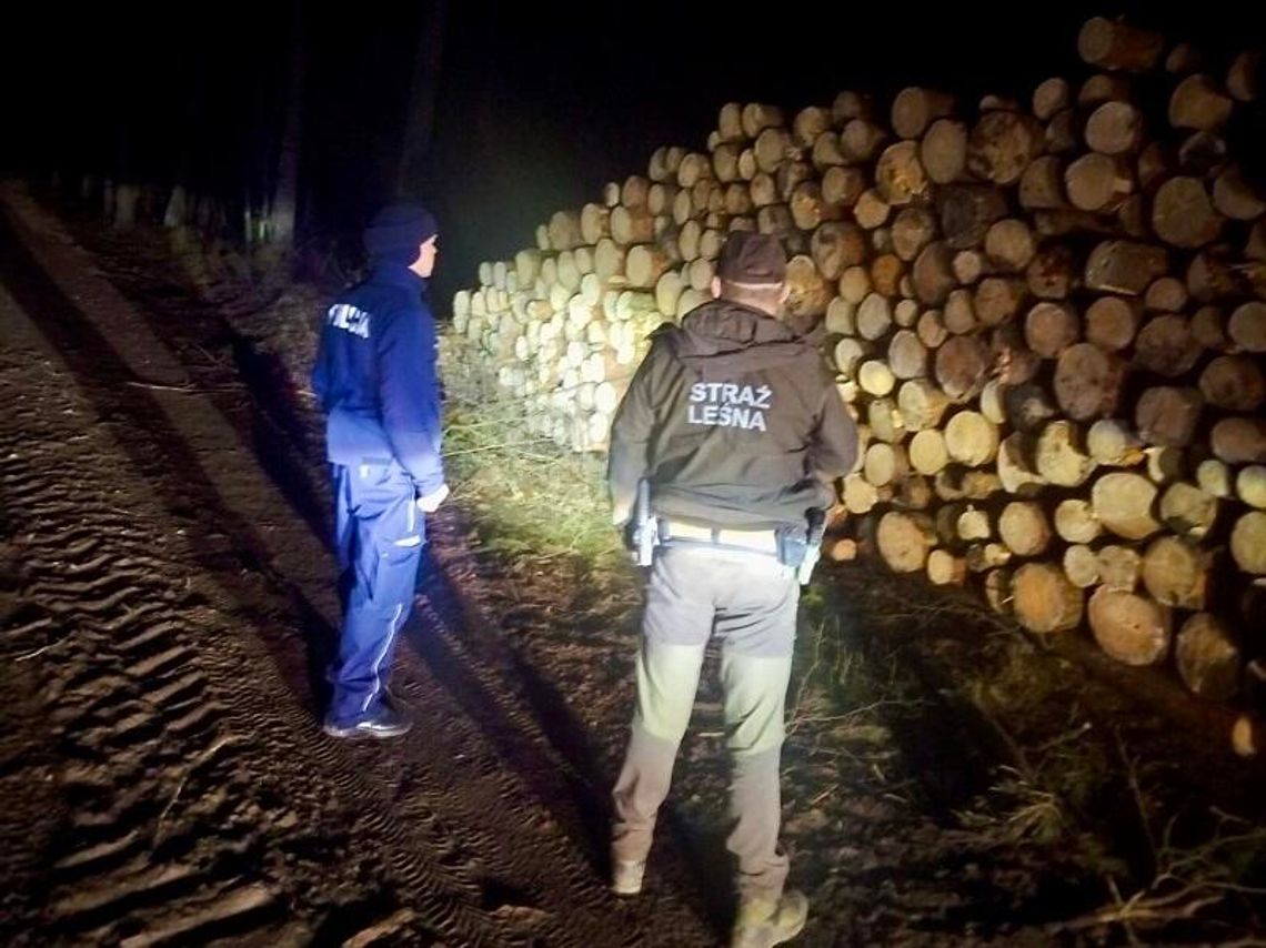 Wspólna służba policjanta i strażnika leśnego w ramach akcji „Choinka” Wspólna służba policjanta i strażnika leśnego w ramach akcji „Choinka”