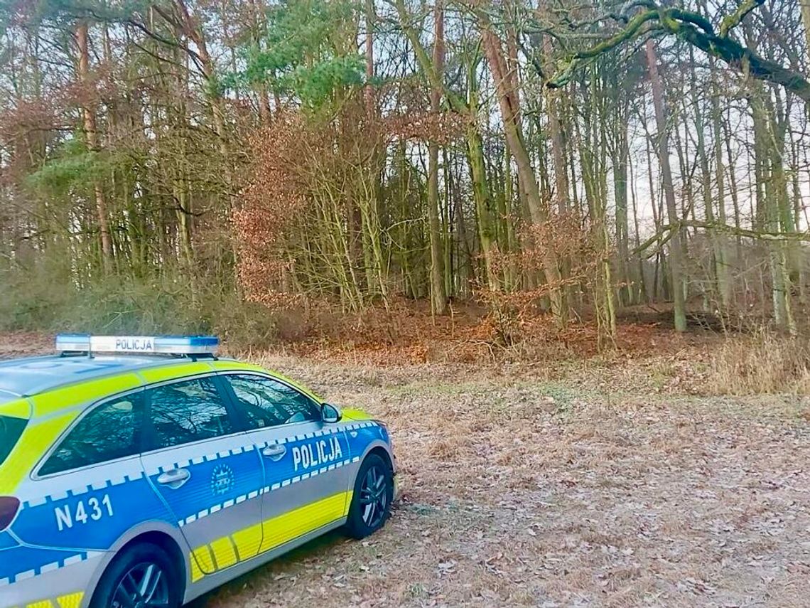 Wspólne działania policjantów i funkcjonariuszy Straży Leśnej Wspólne działania policjantów i funkcjonariuszy Straży Leśnej