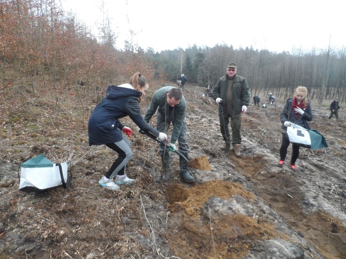 Wspólnie posadzili las dla pokoleń. Jubileusz 70 - lecia RDLP w Gdańsku Wspólnie posadzili las dla pokoleń. Jubileusz 70 - lecia RDLP w Gdańsku