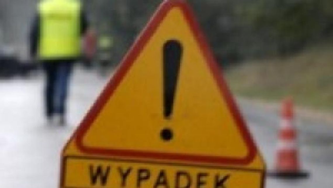 WYPADEK: Dachowanie auta po zderzeniu z sarną WYPADEK: Dachowanie auta po zderzeniu z sarną