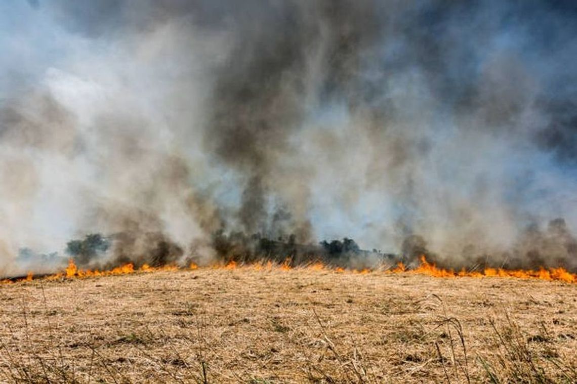 WYPALANIE TRAW JEST NIELEGALNE. NIGDY TEGO NIE RÓB